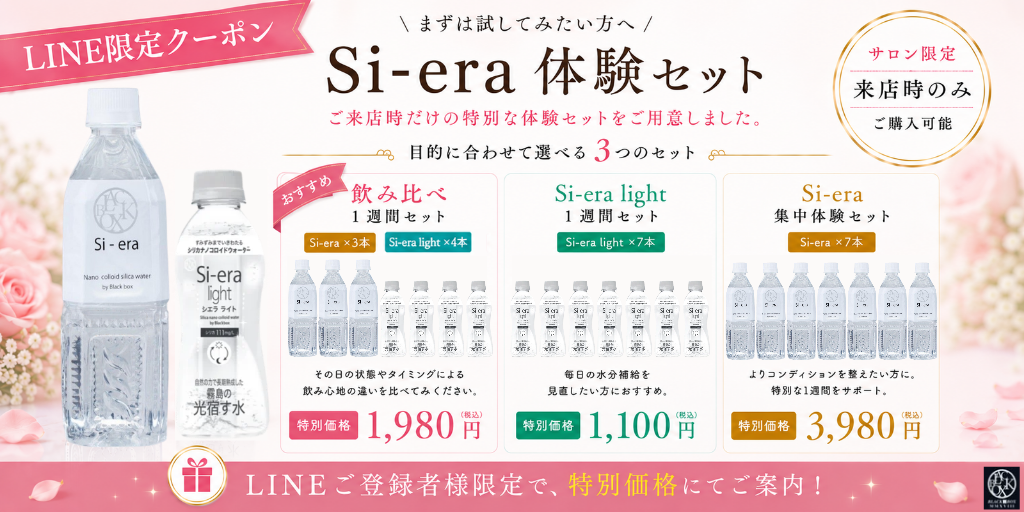 Si-era体験セット